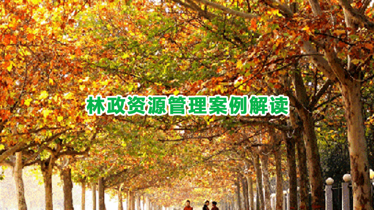 林政资源管理案例解读